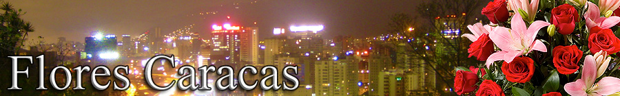flores a caracas