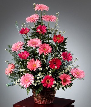 arreglo de gerberas rosadas en canasta caracas
